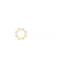Ankie